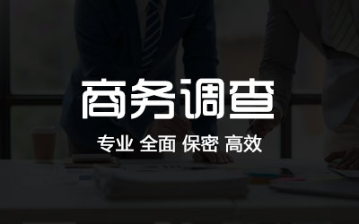河南商务调查